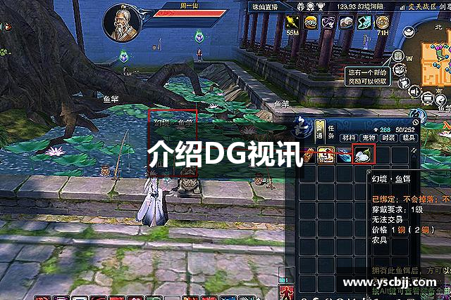 介绍DG视讯